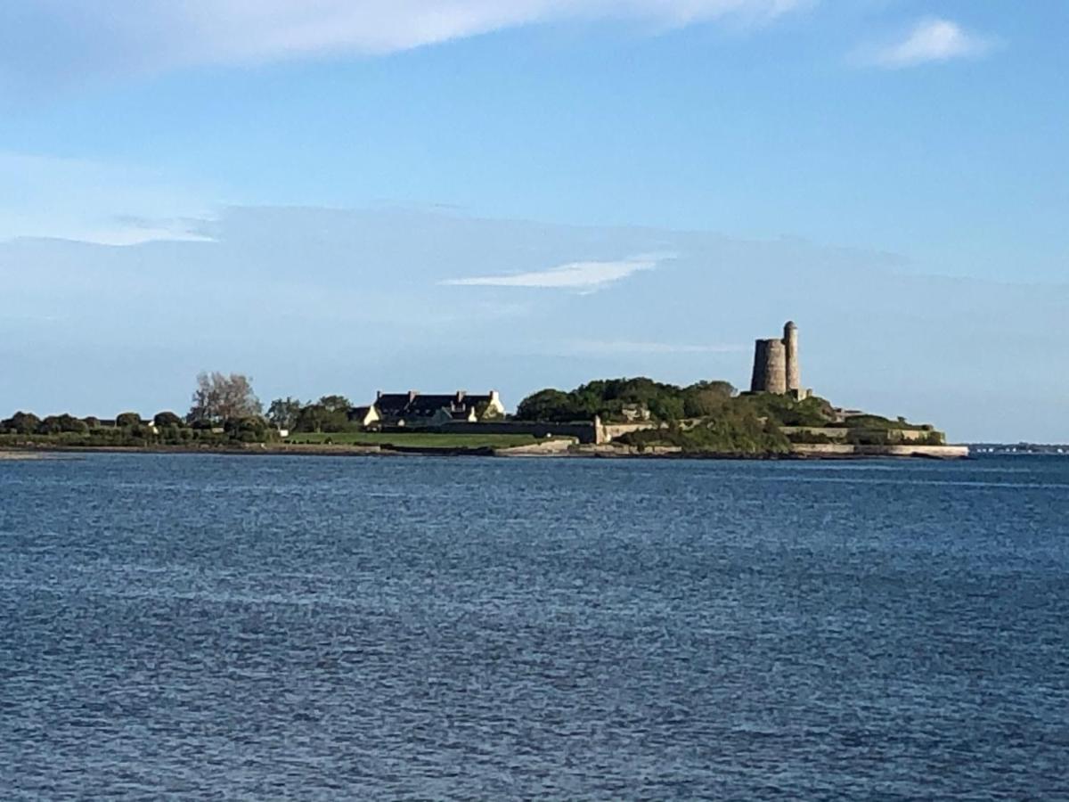 Iles Et Ailes